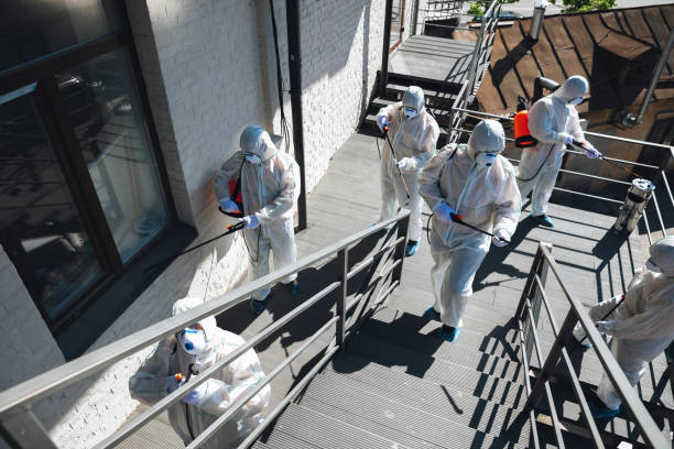 Best Mold Odor Removal Services  in Westmont, PA