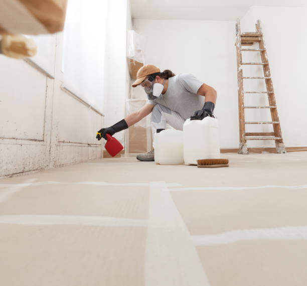 Best Mold Damage Restoration  in Westmont, PA